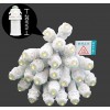 星羅之光工程款LED外露燈