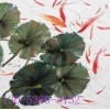 蘇州昆山少兒術(shù)素描繪畫特長(zhǎng)培訓(xùn)班哪里好收費(fèi)怎么樣