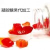 益生菌凝膠糖果 益生菌軟膠囊加工 貼定制生產(chǎn)