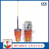 三榮SEP-600AIS 船用無線電示位標(biāo)帶AIS