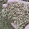 香菜子進口清關所需資料