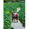 蘇州少兒暑假夏令營賞千畝荷花人與自然探索驗(yàn)營活動(dòng)拓展報(bào)名中